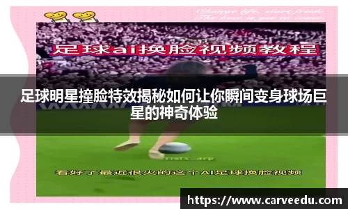 bsports.必一体育官网