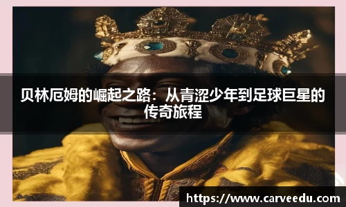 bsports.必一体育官网