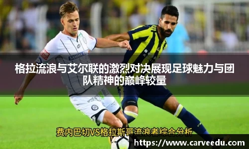必一·运动(B-Sports)官方网站